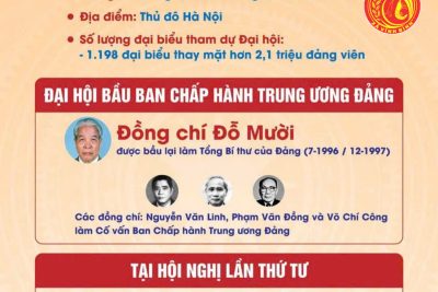 Infographic: Đại hội VIII – Đảng Cộng sản Việt Nam